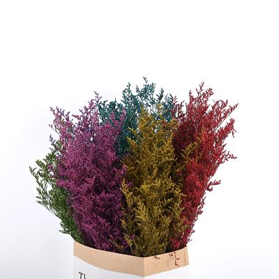 China Wholesale Non-Toxic Flowers Dry Natural Bleached Valentine Grass Preserved Limonium Grass For Home Decor for sale