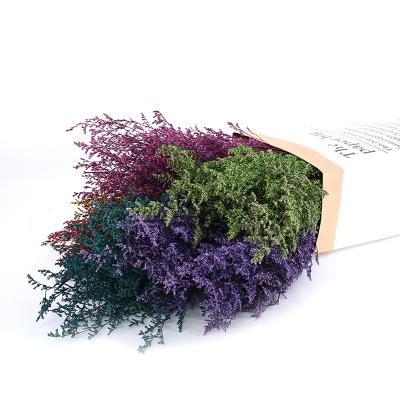 China Non-Toxic Plant DIY Bouquet Preserved Flowers Eternal Dry Preserved Limonium Lovergrass for sale