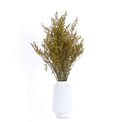 China Wholesale Non-Toxic Cheap Preserved Limonium Flower Dried Natural Lovergrass Flowers For Home Decoration for sale