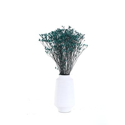 China Real and Natural Preserved Touch Wedding Decoration Forget Me Unnatural Dry Preserved Flower Crystal Grass for Sale for sale