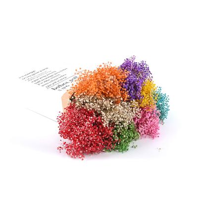 China Natural Touch White Color Dried Babysbreath Flower Bouquet Preserved Gypsophila For Decoration for sale