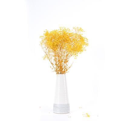 China Contact Natural Factory Sell One Grade Preserved Baby's Breath Flower Dried Gypsophila for sale