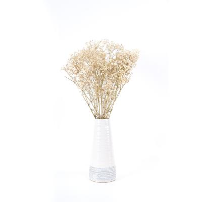 China Natural Touch INS High Quality Style Decor Customized Flower Preserved Flowers Dried Fresh Gypsophila for sale