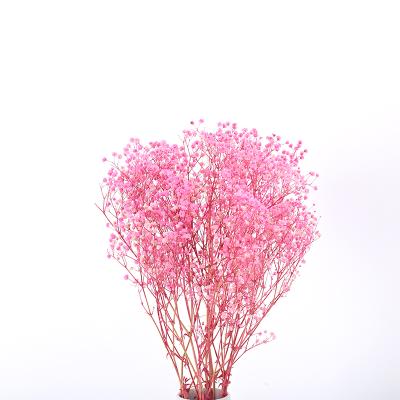 China Natural Touch Wholesales Variety Colors Preserved Flowers 50cm Babysbreath Dried Gypsophila for sale