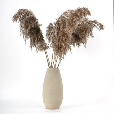 China Europe fluffy real flower handmade bouquet dried pampas grass for home decoration for sale