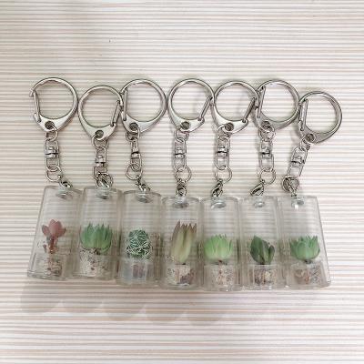 China White Cactus Live Plant Promotion Gift Fluffy Cactus Keychain for sale