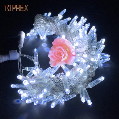 China 10M/20M/30M/Customized TOPREX DECOR LED Twinkle String Lights PVC Blister String Led Outdoor Lights for sale