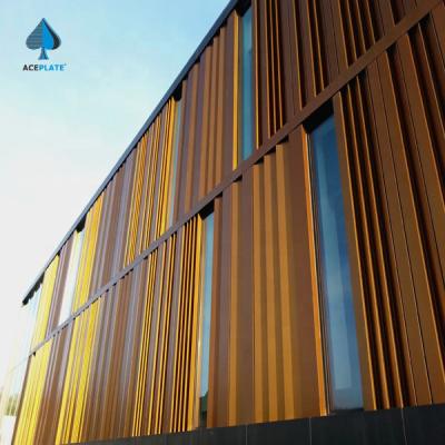 China Modern ACEPLATE 3.0mm Thickness Metal Cladding Anodize Exterior Aluminum Panel With New Design for sale