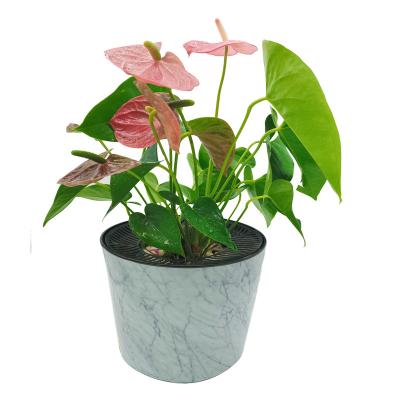 China New ECONO Modern High End Listing High Quality Nursery Pot Flower Pots Planters Plastic for sale