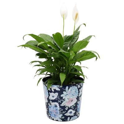 China Modern Custom High Quality Outdoor Garden Vases Pot Large Terracotta Flower Pot for sale