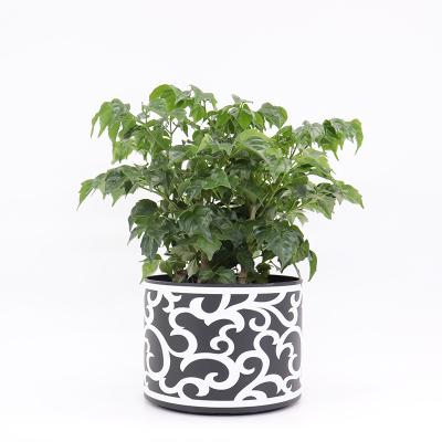 China Econo 2022 New Minimalist Econo 2022 Bulk Plastic Flower Pot Custom Home Plastic Flower Pot For Hydroponic Plants for sale