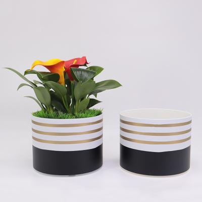 China Econo wholesale minimalist 6 inch round plastic flower pot indoor flower pot and planting grass flower strawberry for sale