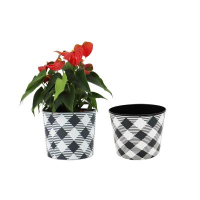 China Factory Wholesale Chinese Custom Mini Plastic Creative Artificial Flower Econo Home Coconut Orchid Zinc Flower Pots for sale