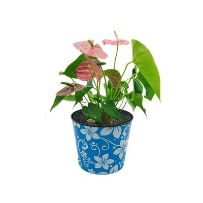 China Econo modern 6 inch latest design top quality circle vase pot modern plastic flower pots for sale