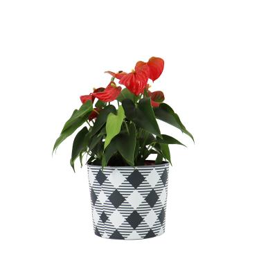 China Econo Factory Modern Wholesale 6 Inch Outdoor Round Pot Household Decorative Plastic Flower Pot for sale