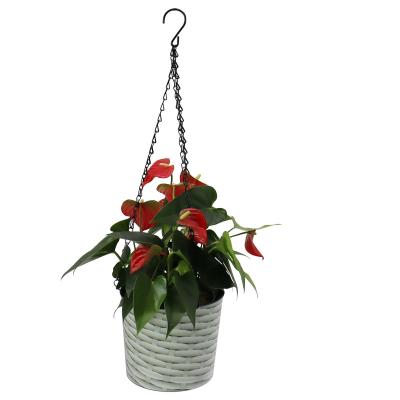 China Modern Econo 7 Inch Indoor And Outdoor Hanging Flower Pot Plastic Garden Hanging Decorative Flower Pot for sale