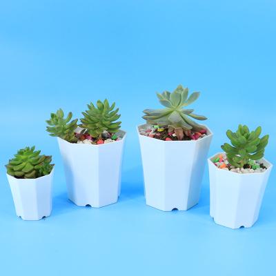 China Wholesale Minimalist Econo Modern Minimalist Style Plastic Succulent Home Decorative Flower Pots for sale