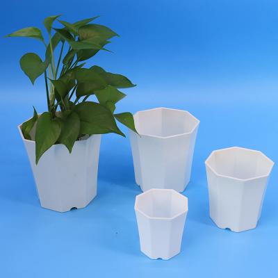 China Minimalist Econo 4 5 6 Inch Outdoor Plastic Econo Clear Nursery Plant Pots White Flower Pot Orchid Pot 3 for sale