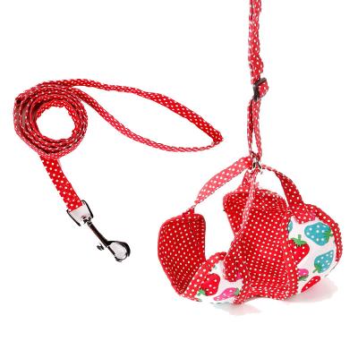 China Soft Design Strawberry Cotton Pet Leash Harness Stocked Walking Harness And Leash for sale