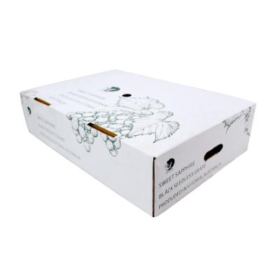 China Custom Logo Printing Heaven And Earth Recyclable Cover Cardboard Citrus Packaging Corrugated Paper Box for sale