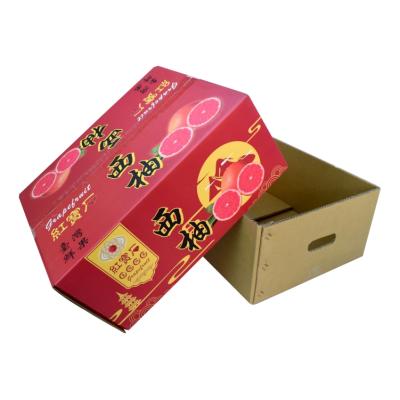 China Customized Recyclable Grapefruit Paper Box Cardboard Fruit Packaging Corrugated Recyclable Shipping Box for sale