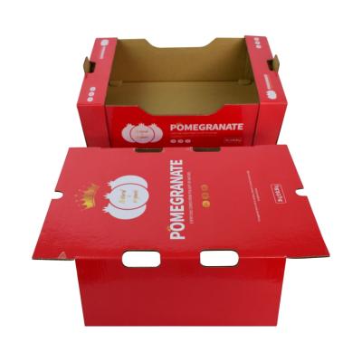 China Custom Recyclable Logo Packing Shipping Box Pomegranate Printing Recyclable Corrugated Cardboard Box Fruit Packing Box for sale