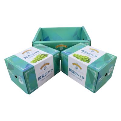 China Custom Recyclable Logo Printing Recyclable Cardboard Shipping Boxes Lid And Base Box Fruit Grape Packaging Corrugated Paper Box for sale