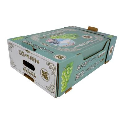 China Recyclable Cardboard Shipping Blue Recyclable Custom Fruit Grape Logo Packaging Corrugated Paper Box Shipping Carton for sale