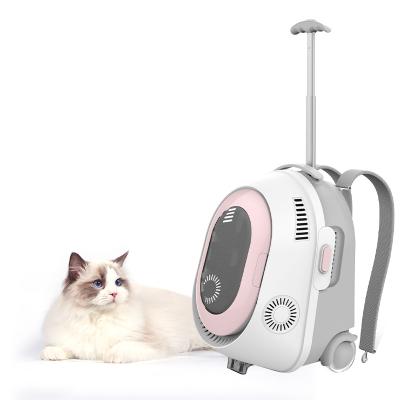 China Viable Luxury Plastic Box Cat Cage Dog Travel Carrier Fashion Pet Carrier for sale