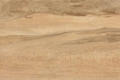 China Wood Effect Outdoor Porcelain Tiles , Porcelain Wood Effect Tiles For Outside for sale