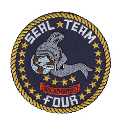 China high quality custom 3D embroidery patches Team Navy Patch customs seal zu verkaufen