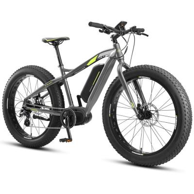 China Aluminum Alloy On Sales 250-1000W Adult Electric Bicycle Off-Road Ecycle Elektrisches Fahrrad Velos Electriques Ebike Dual Motor for sale