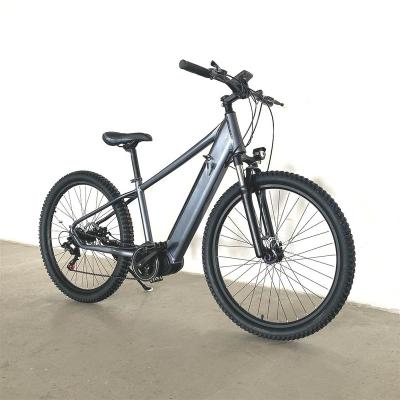 China Sport Style Bafang Mid Drive Motor Electric Bike Integrated Battery Removable Bicycle Mountain Cycling 7 Speed ​​Velo Electriques Bicicleta for sale