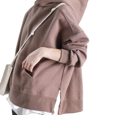 China Autumn New Loose Warm Long Sleeve Windproof Sweatshirts Fashion Women Hoodies for sale