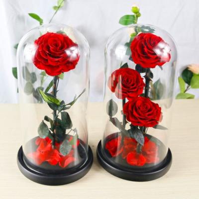 China Preserved natural touch little prince stabilized rose flowers foam decoration dome for sale