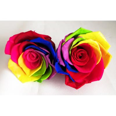 China Natural Touch Factory New Design 6-7cm Rainbow Rose Flower Direct for sale