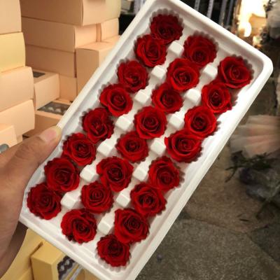 China Factory Direct Sell A Natural Grade All Year Occasions Ecuadorian Immortal Red Roses for sale