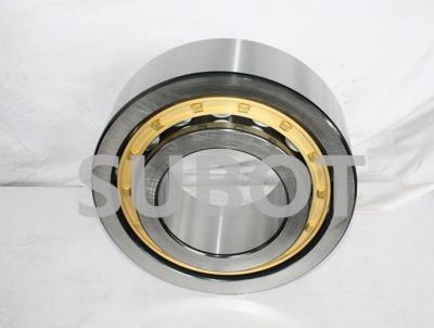 Chine Roulement à rouleaux cylindrique durable de RS pour les instruments ABEC1 ABEC3 ABEC5 à vendre