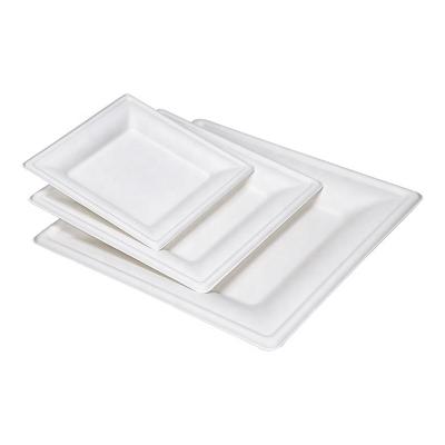 China Disposable 6inch 8inch 10inch Sugar Bagasse Square Plate Durable Biodegradable for sale