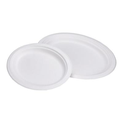 China Disposable Eco-Friendly Sugar Cane Paper Tableware Oval Bagasse Dish for sale