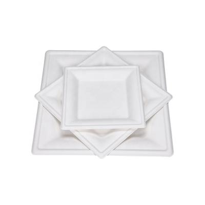 China Disposable Water And Oil Proof 100% Biodegradable Sugar Cane Pulp Square Disposable Dish Dish for sale