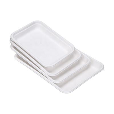 China Fiber Pulp Bagasse Fruit Tray Disposable Eco-Friendly Biodegradable Molded Tray Rectangular Trays Sugarcane Meat Tray for sale