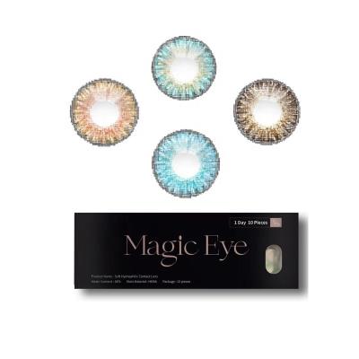 China Wholesale Natural Eye Contact Lenses Color Cosmetic Magic Eye Natural Daily Contact Lens for sale