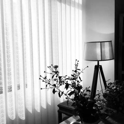 China Waterproof PVC Shade Waterproof Vertical Window Blinds Roller Window Shades Blackout Blinds For Windows for sale