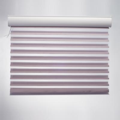 China Waterproof Motorized Electric Roller Shades Blind Curtain Track Motorized Round Box Shangri-La Blinds for sale