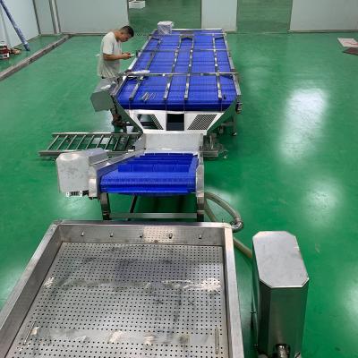 China Fruit China Factory Automatic Mango Cleaning Apple/Passion/Kiwi Processing Machine Fruit Juice Filling Line Production for sale