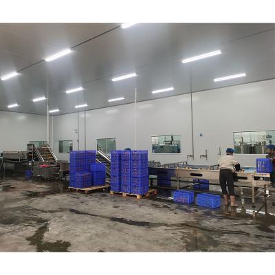 China Fruit Cleaning Dry Date Mango Commercial Fruits And Vegetables Processing Dehydrator Drying Machine Production Line for sale