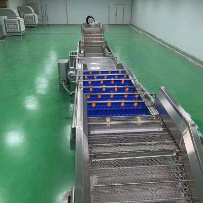 China Fruit Cleaning Full Automatic Dry Fruit Production Line For Raisin Apricot Mango Kiwi Fruit Production for sale