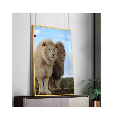 China Modern Modern Home Decoration Drop Shipping Lion Full Animals Diamond Painting for sale