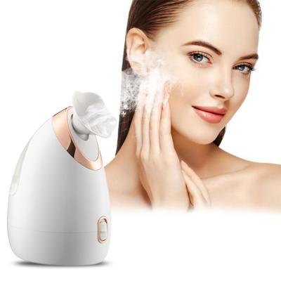 China Nano Electric Facial Sprayer Face Cleaner DEEP CLEANING Electric Home Use Mini Cheap Facial Steamer Portable Face Steamer for sale